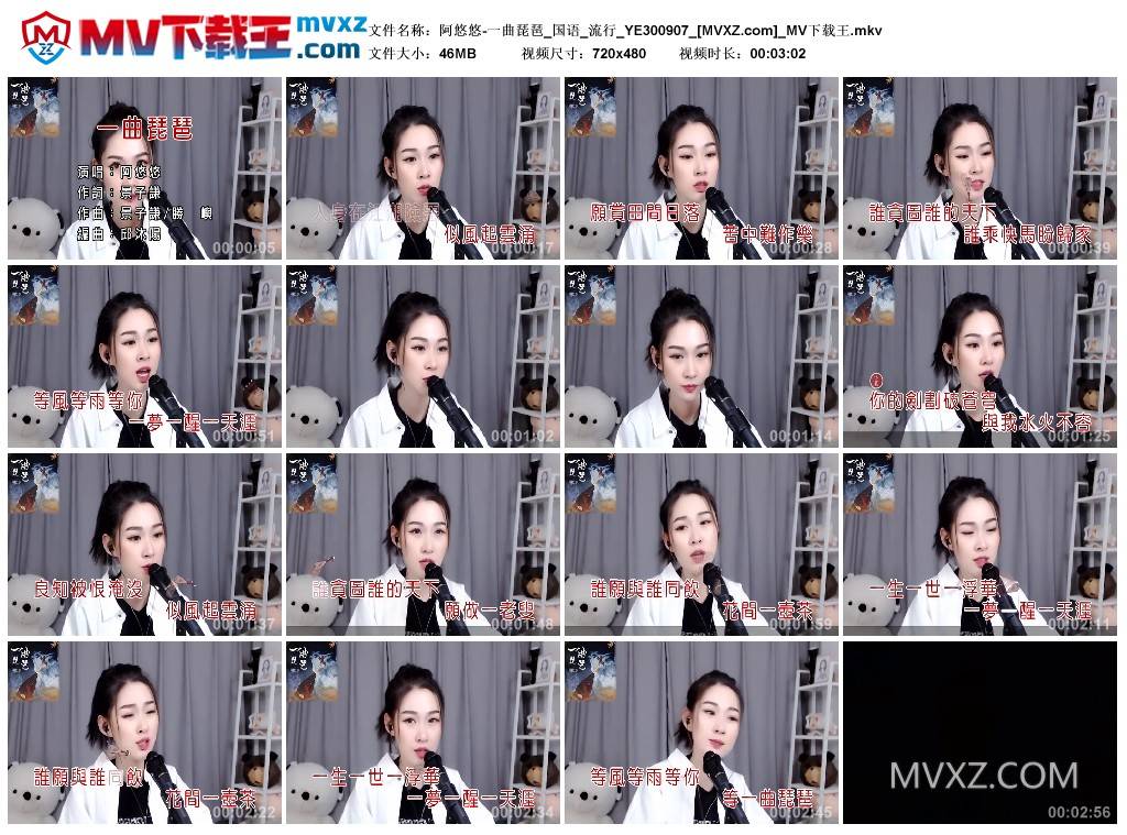 阿悠悠-一曲琵琶_国语_流行_YE300907